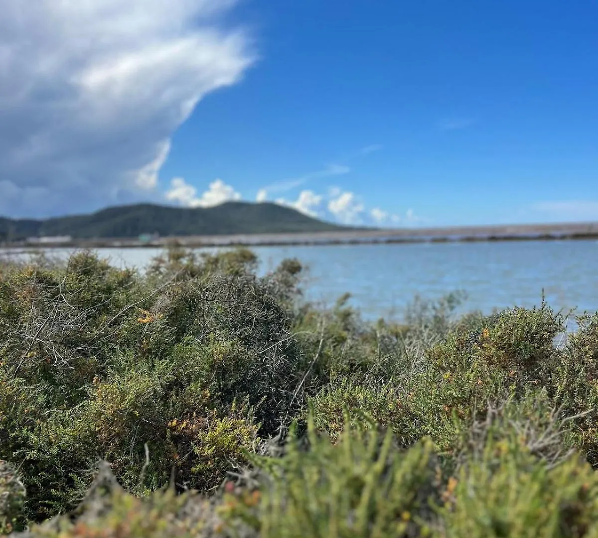 Apartamento Private Cottage - Stunning View Salinas Ses Salines