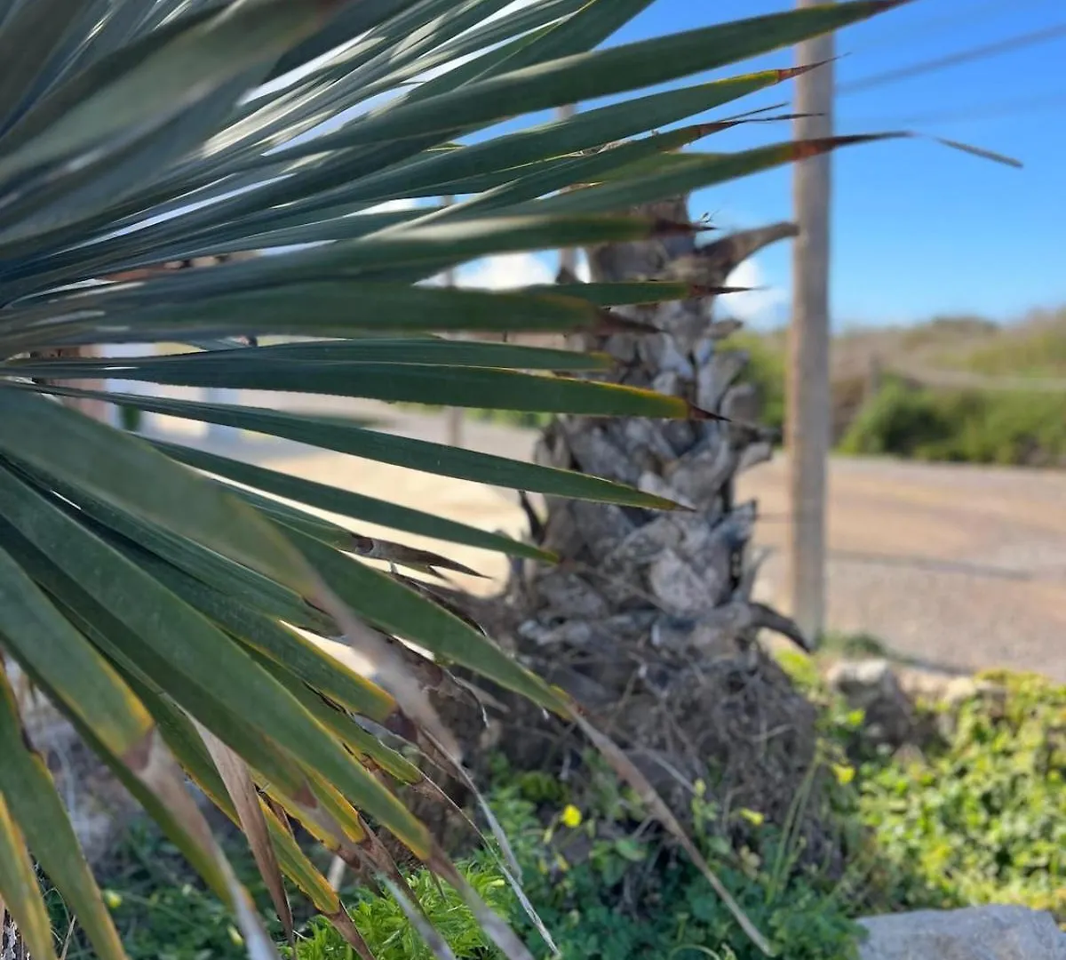 סס סלינס Private Cottage - Stunning View Salinas דירה