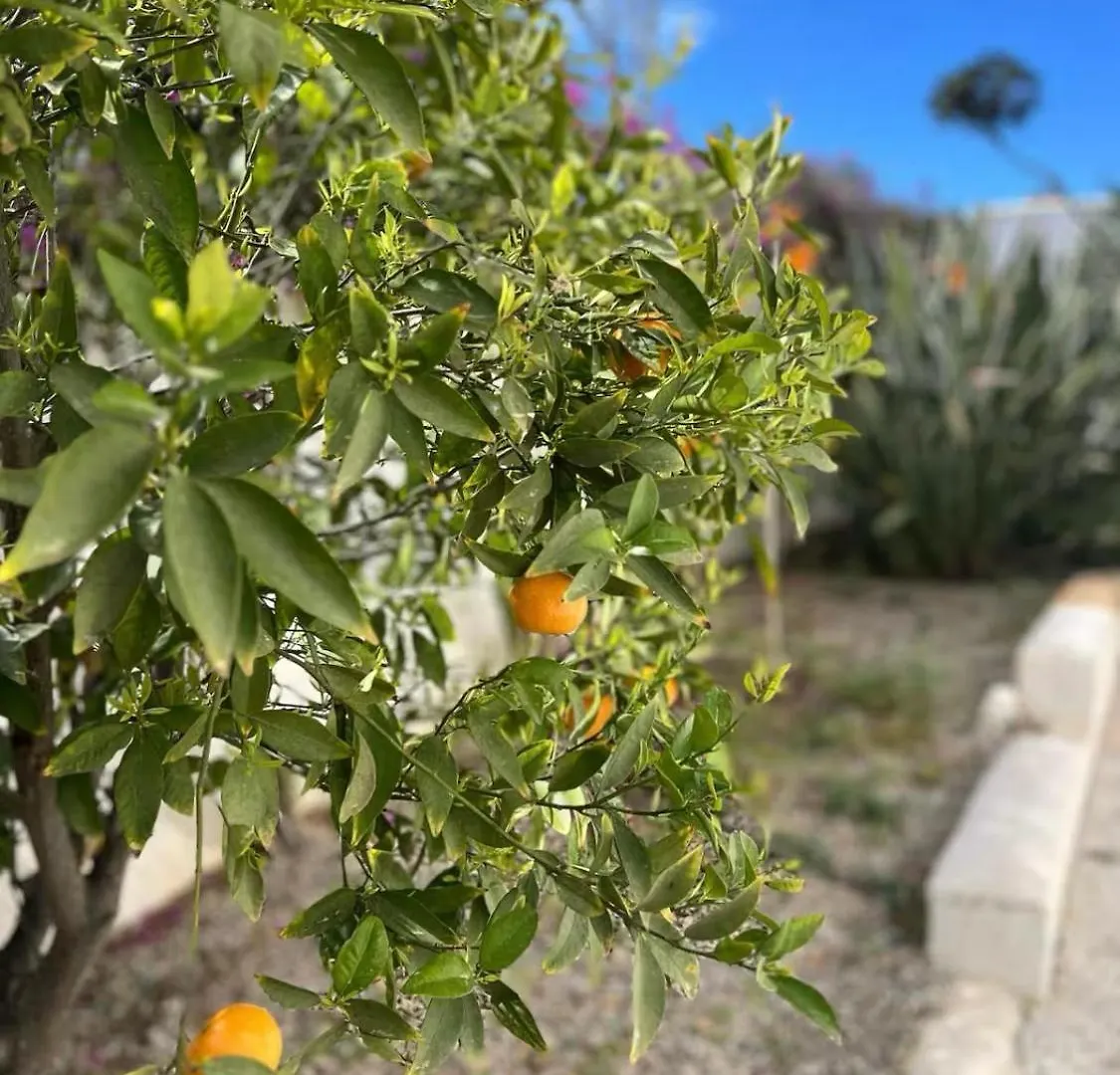 Private Cottage - Stunning View Salinas Ses Salines