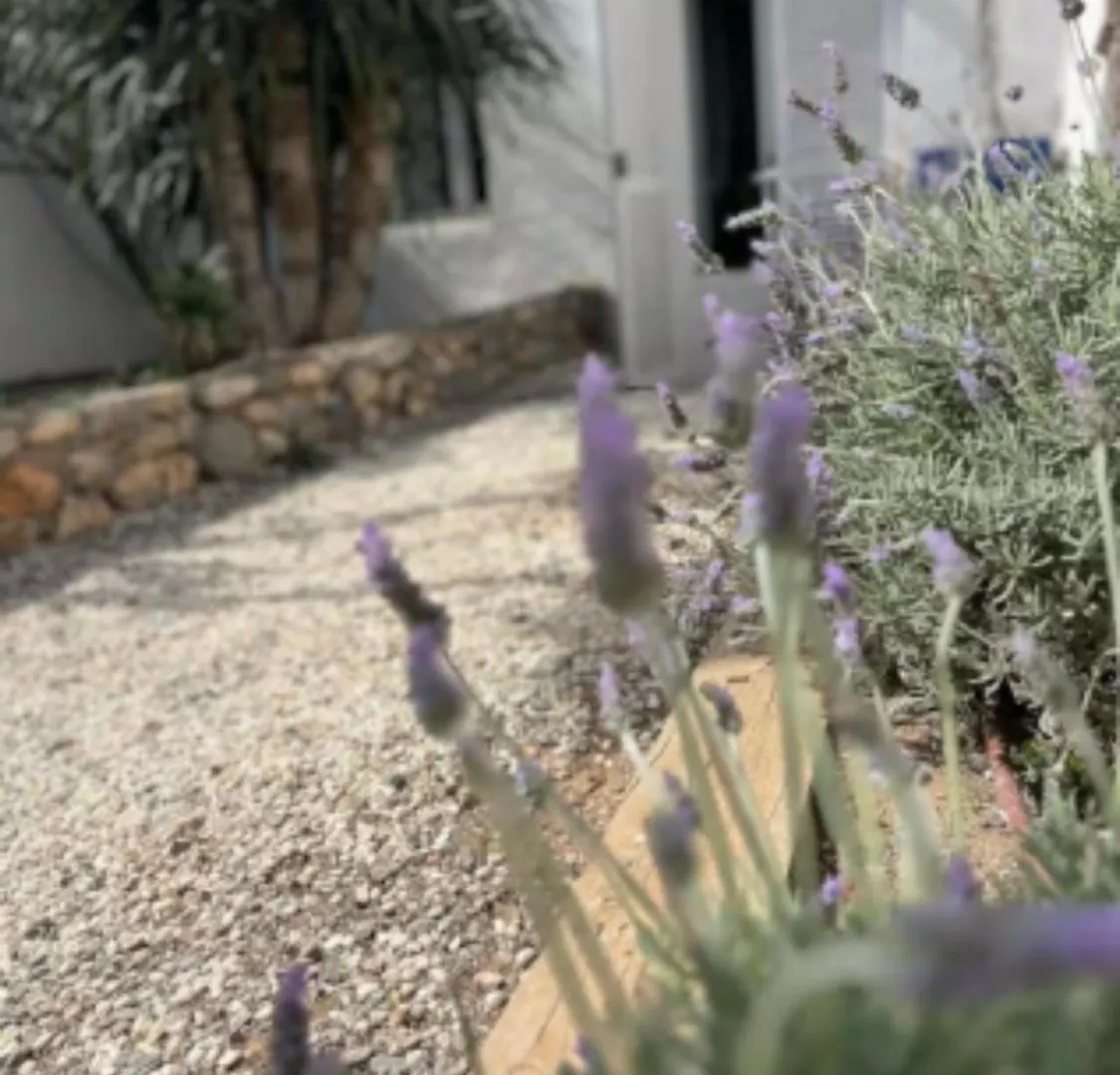 דירה סס סלינס Private Cottage - Stunning View Salinas