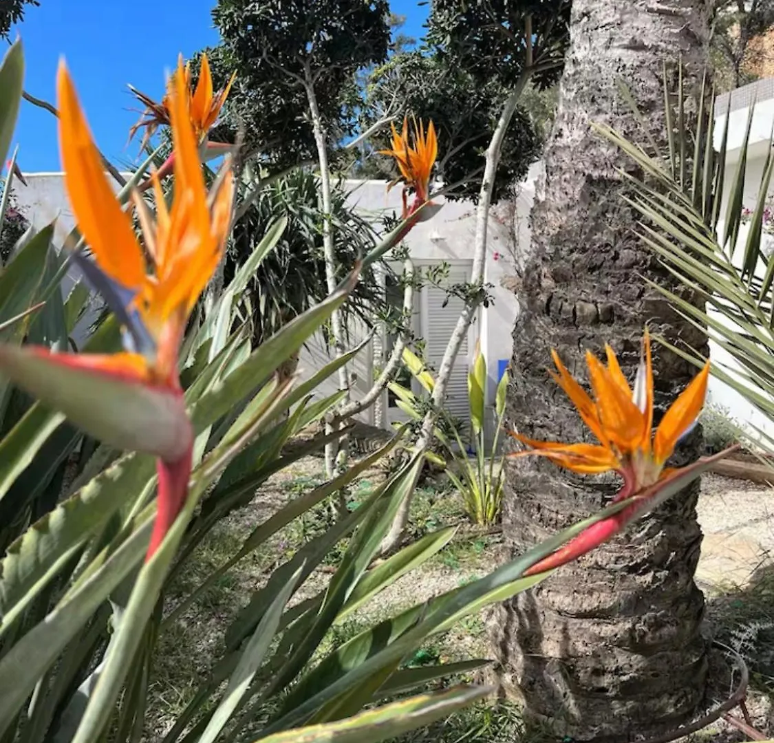 סס סלינס Private Cottage - Stunning View Salinas ספרד